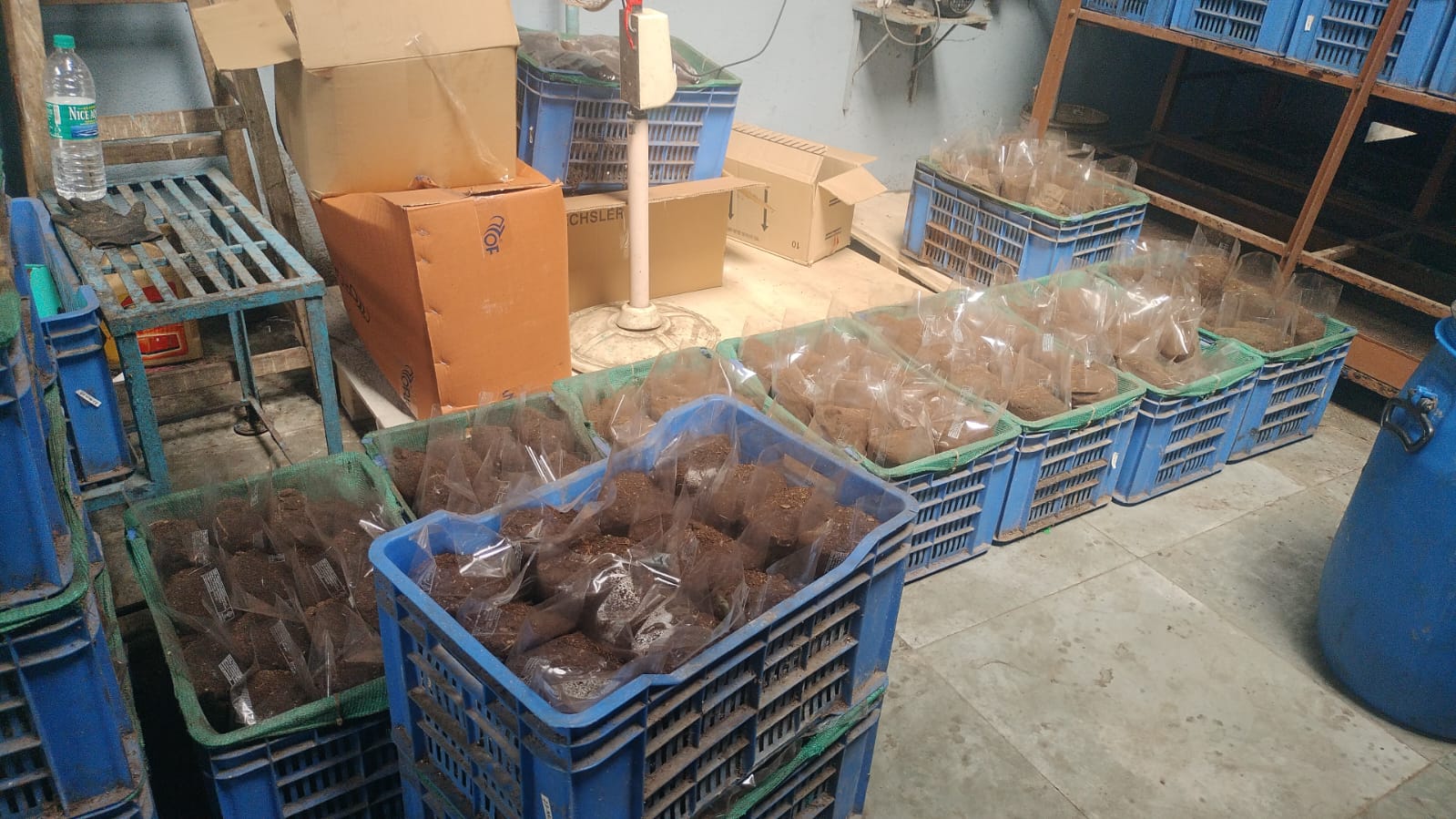 Packaged compost crates ready for dispatch