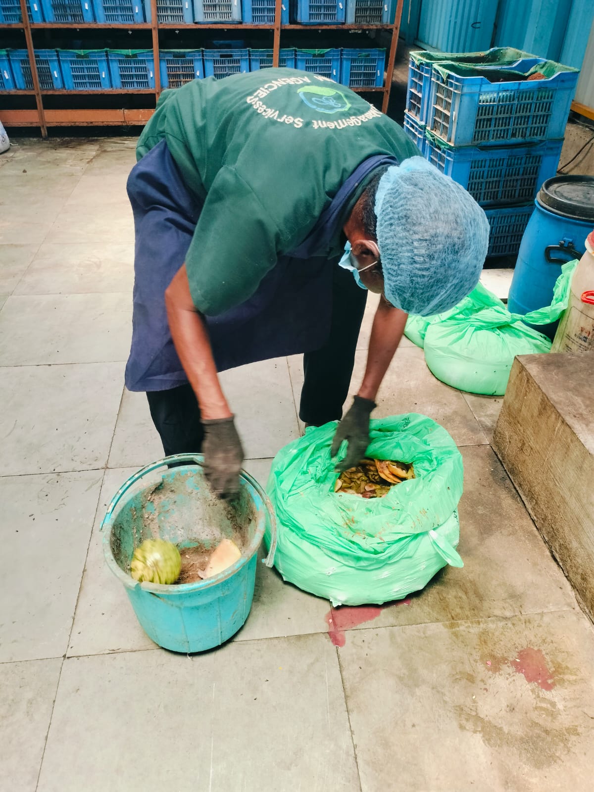Worker segregating organic waste