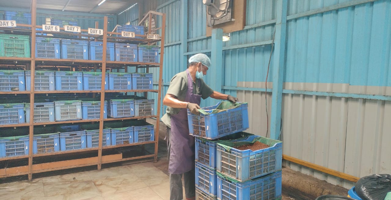 Day-labelled racks for controlled compost maturation